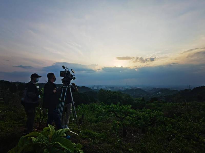 聚焦哈巴河县产品宣传视频拍摄公司，用专业实力铸就品牌传播传奇