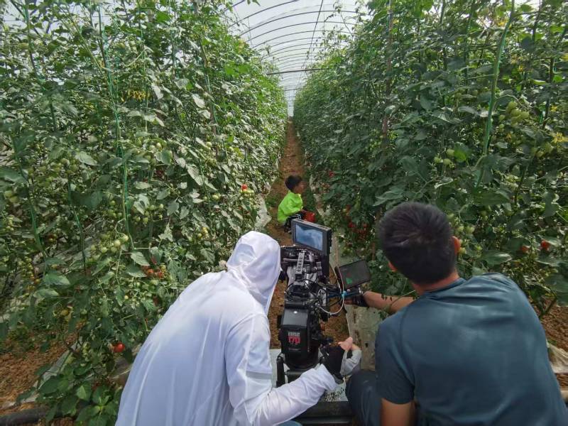 哈巴河县产品宣传视频拍摄公司进阶指南，助力品牌抢占传播高地